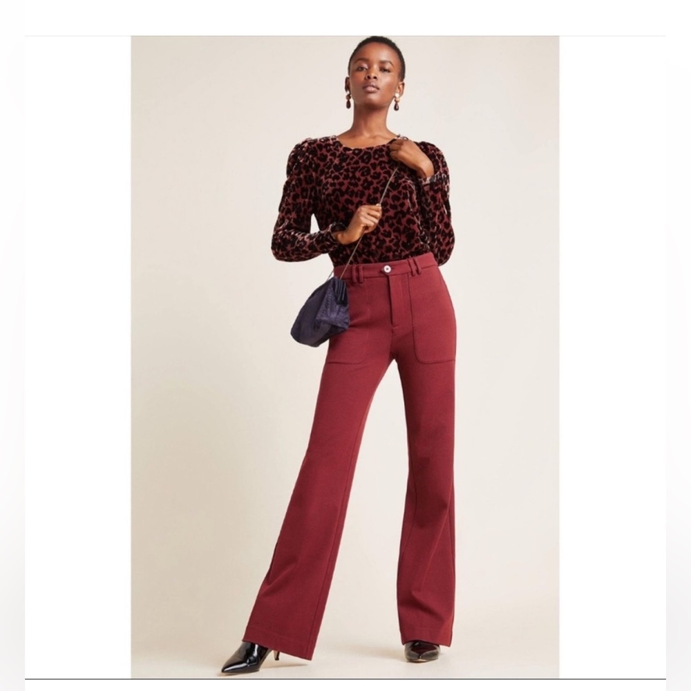 Anthropologie Dolan Charley Velvet Animal Print Puff sleeve long lightweight top